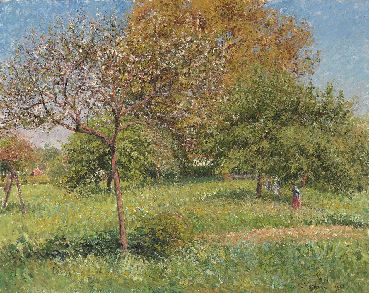 大核桃树，早晨，Eragny； Le Grand Noyer，《晨曦》，埃拉尼，1901年 作者 卡米尔·雅各布·毕沙罗