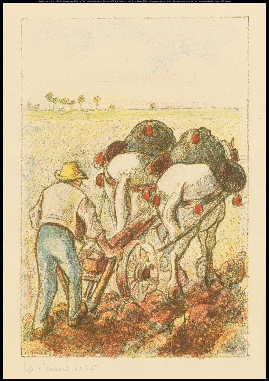 《犁》（Les Temps Nouveaux）的代表作《犁》，1901年 作者 卡米尔·雅各布·毕沙罗