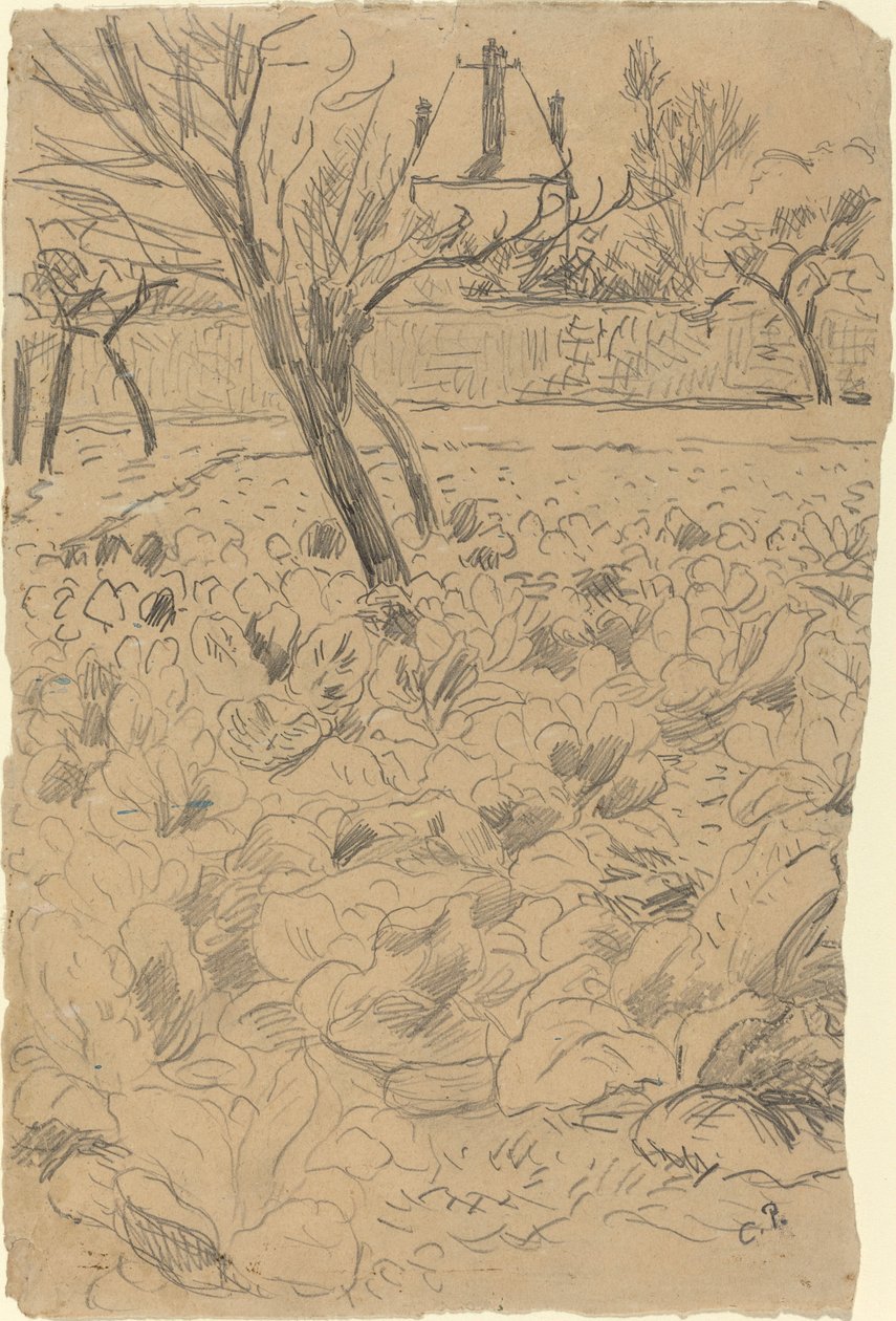 白菜地，约1880年。 作者 卡米尔·毕沙罗