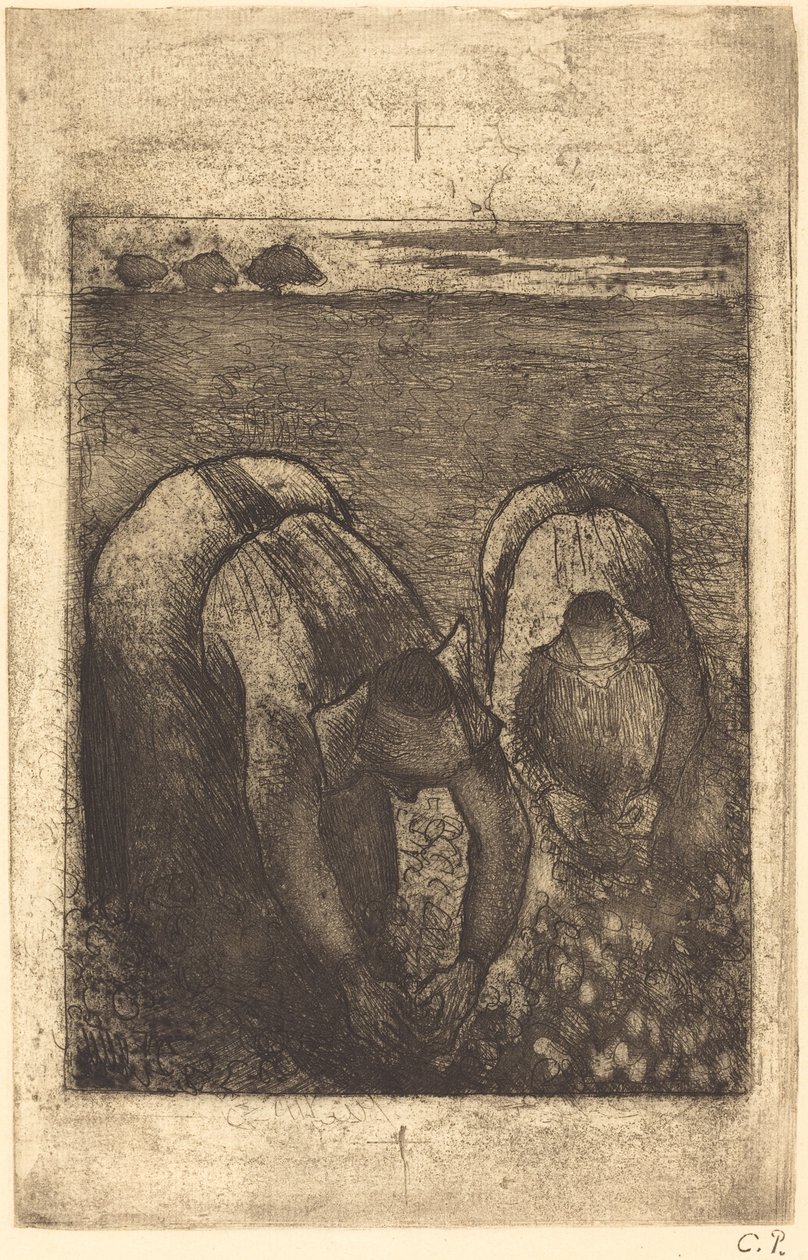 豆田里的农民 Paysannes dans un champ de haricots, 1891. 作者 卡米尔·毕沙罗