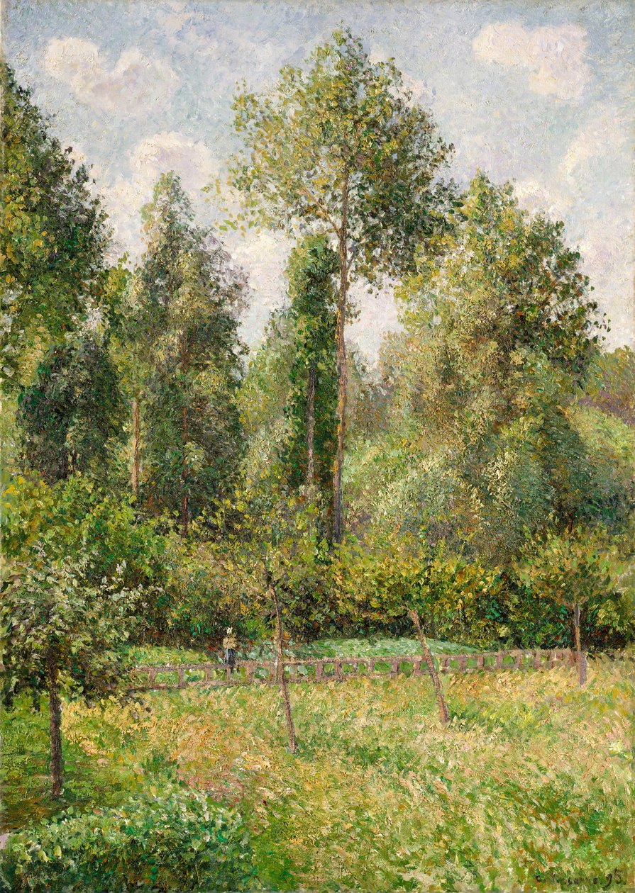 杨树，埃拉尼，1895年。 作者 卡米尔·雅各布·毕沙罗