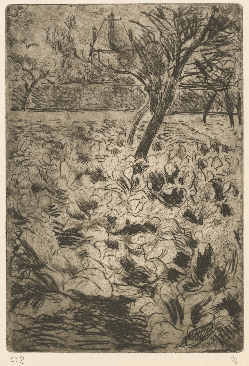 白菜地 Le champ de choux, 约1880年。 作者 卡米尔·毕沙罗