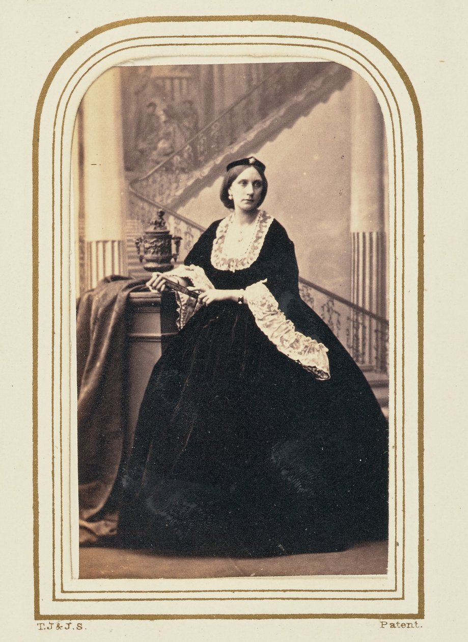 [威廉森夫人] 作者 卡米尔·西尔维（Camille Silvy）