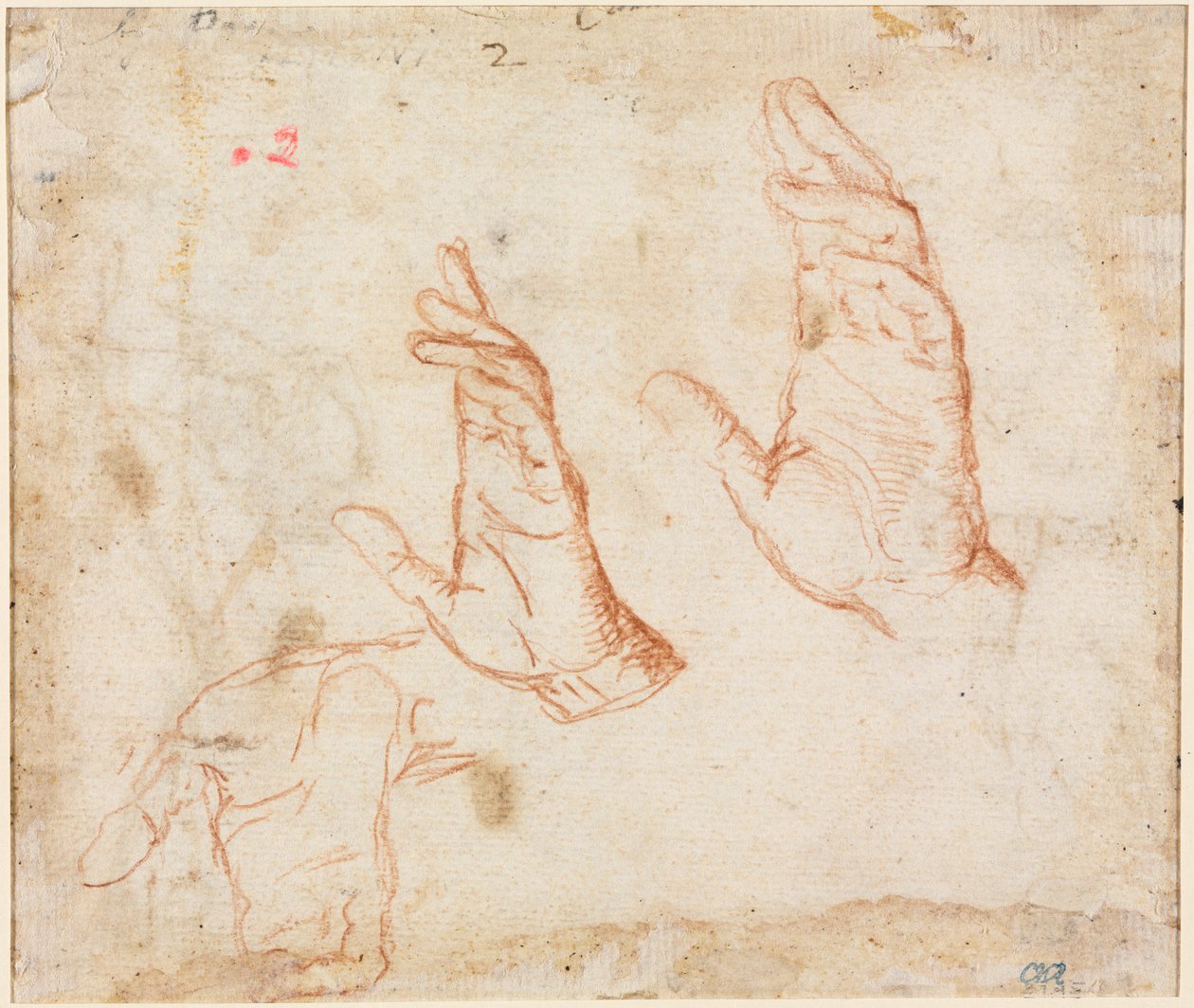 手的研究（背面） 作者 卡米洛·普罗卡西尼（Camillo Procaccini）