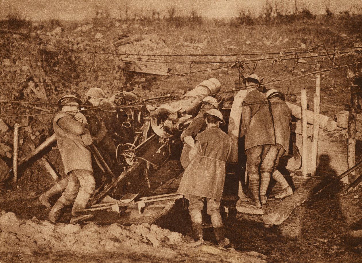  作者 加拿大摄影师