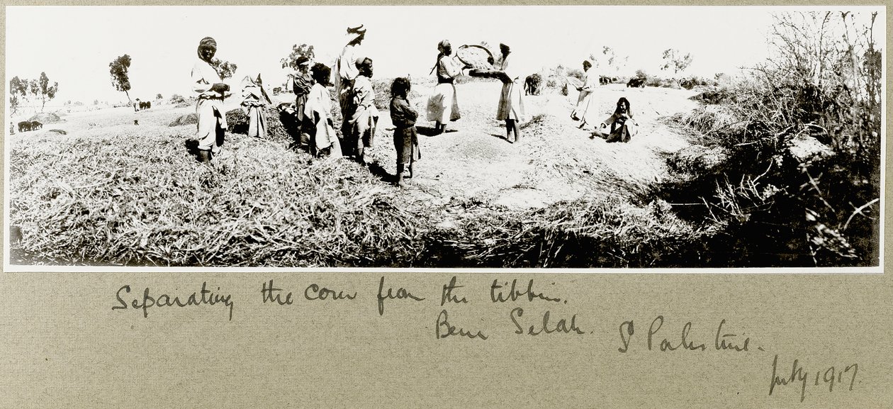 贝都因人分离玉米，Beni Saleh，1917年7月 作者 上尉亚瑟·罗兹（Arthur Rhodes）