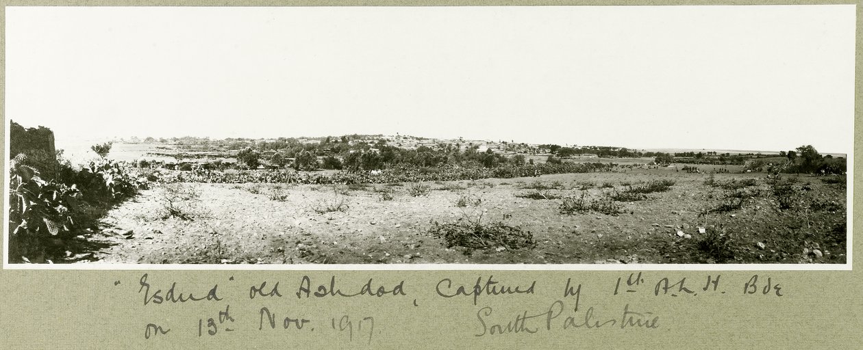 Esdud，老阿什杜德，于1917年11月13日被第1 ALH旅抓获 作者 上尉亚瑟·罗兹（Arthur Rhodes）