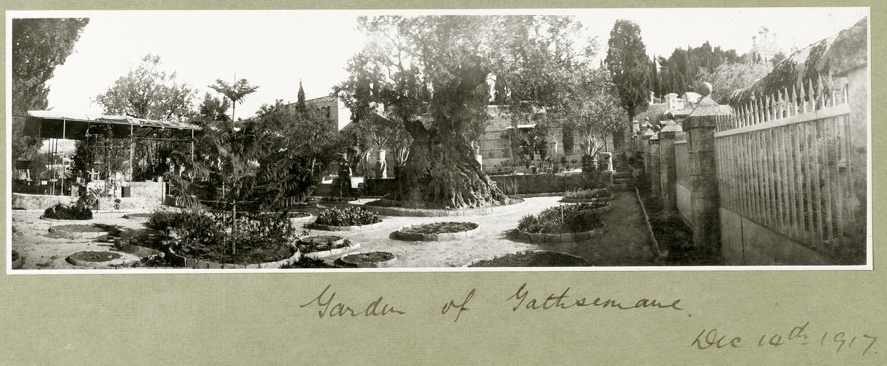客西马尼园，1917年12月14日 作者 上尉亚瑟·罗兹（Arthur Rhodes）