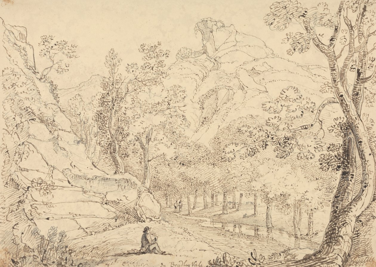 布拉德利谷，1833 年 5 月 作者 船长托马斯黑斯廷斯