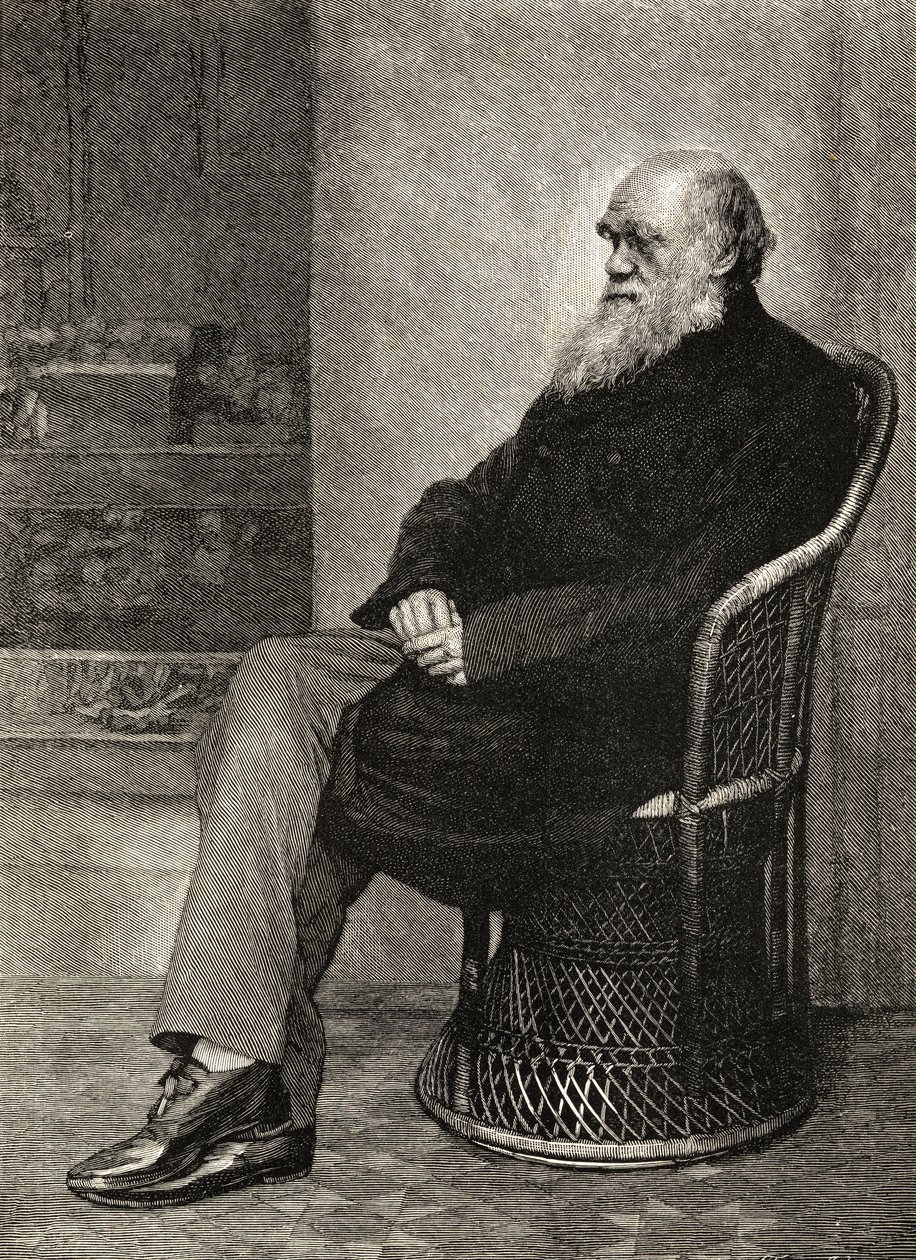 查尔斯·达尔文，“查尔斯·达尔文的生活与文学”，第二卷，1887年出版 作者 达尔文船长