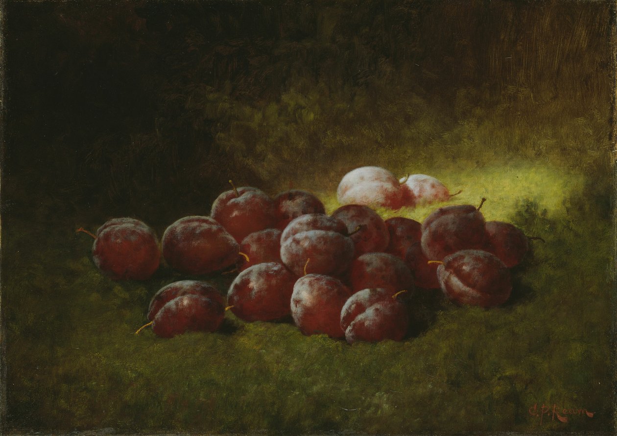 紫李子，1895年。 作者 卡杜修斯·普兰塔涅网