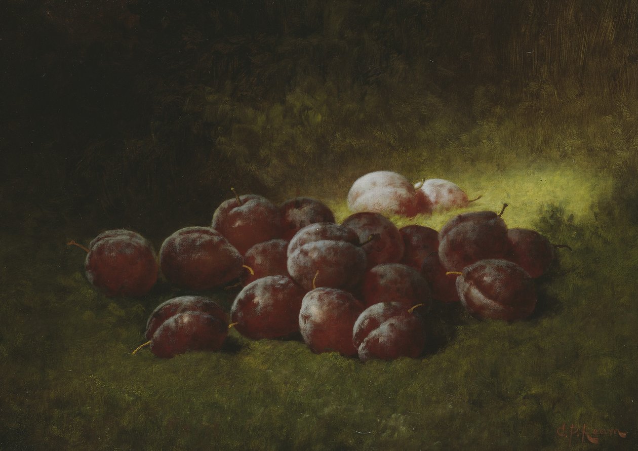紫色李子，1895年 作者 卡杜修斯·普兰塔涅网