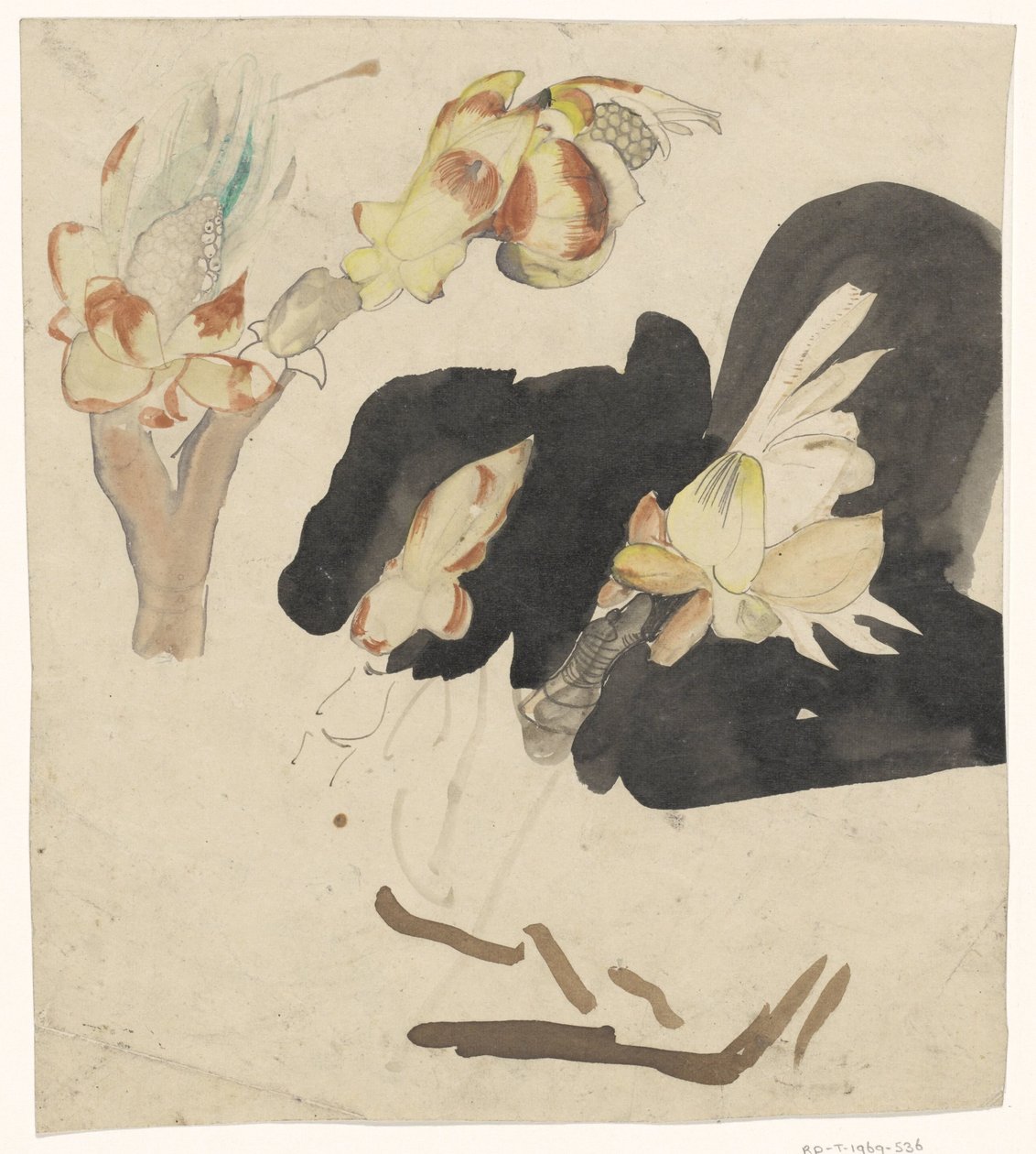 栗芽 作者 Carel Adolph 狮子纪念章