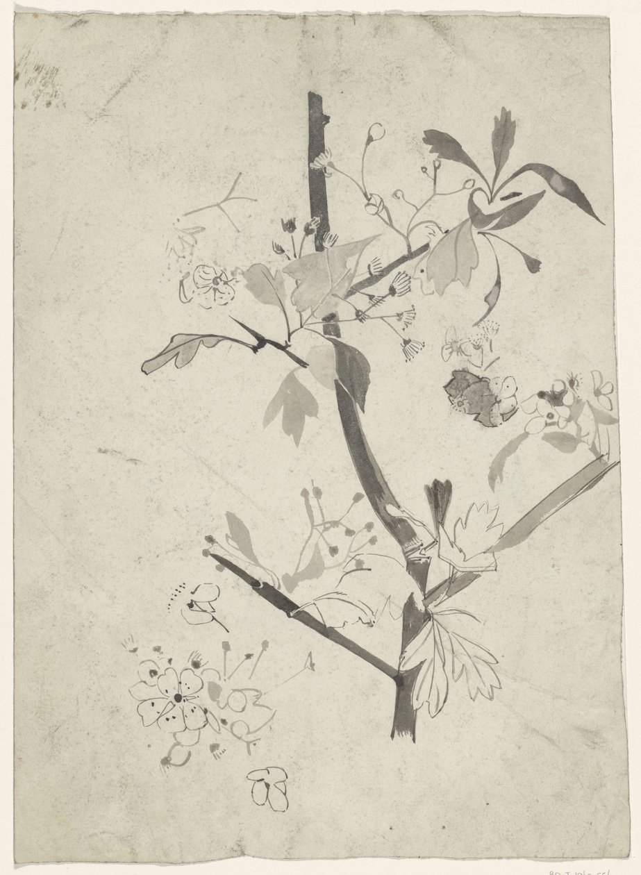 带花的树枝 作者 Carel Adolph 狮子纪念章
