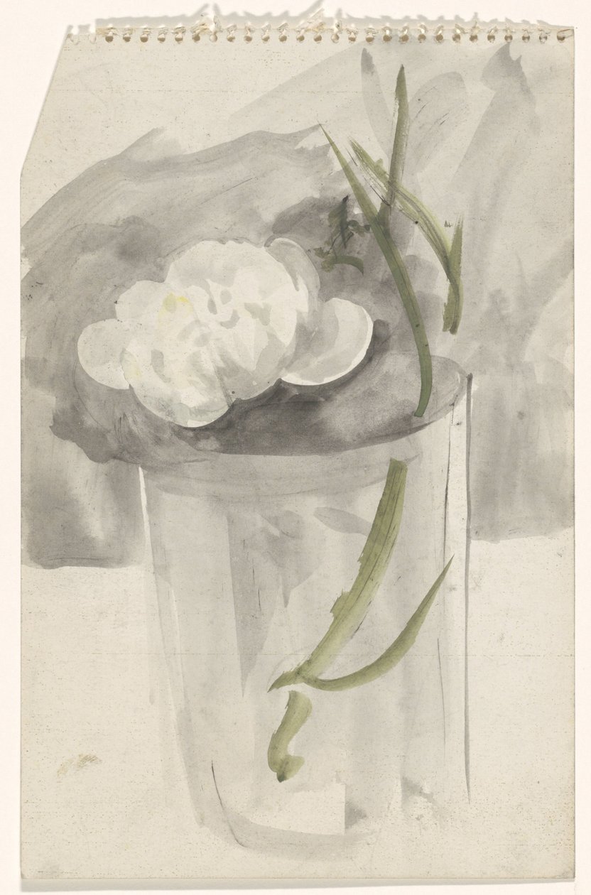 玻璃杯里的白花 作者 Carel Adolph 狮子纪念章