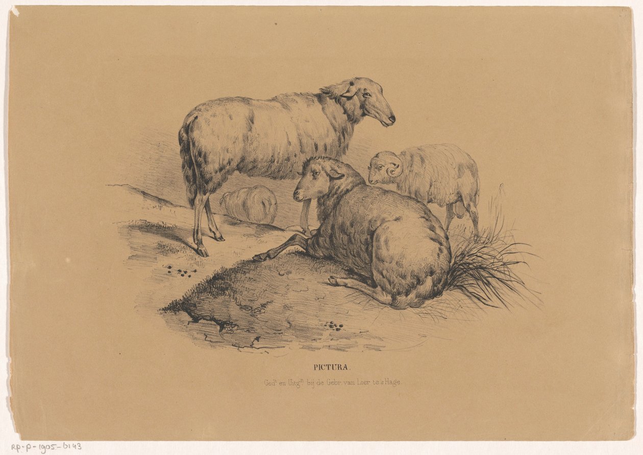 Vier schapen
Pictura （物品上的系列名称） 作者 卡雷尔·克里斯蒂安·安东尼·拉斯特