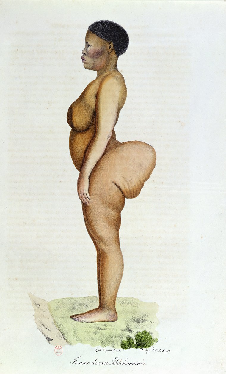 来自Etienne Geoffroy Saint-Hilaire（1772-1844）和Frederic Cuvier（1773-1838）的“哺乳动物的自然历史”中的霍屯督金星，布什曼女人，1824年 作者 卡雷尔·克里斯蒂安·安东尼·拉斯特
