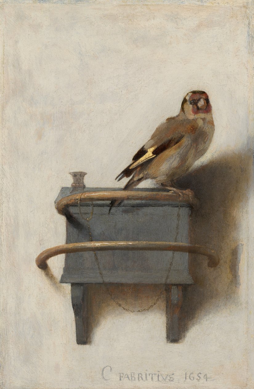阿拉伯语  金翅雀 作者 卡雷尔·法布里修斯（Carel Fabritius）