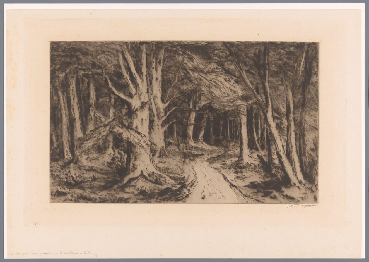 沼泽地
森林入口（原标题） 作者 Carel Nicolaas Storm van 的 Gravesande （有艺术家签名）
