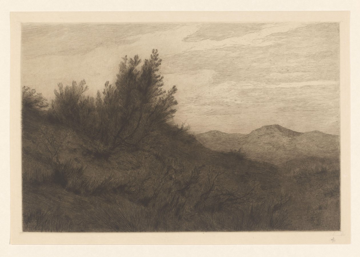 沙丘景观 Les dunes à Zandvoort（原标题） 作者 卡雷尔·尼古拉斯·暴风范的格雷夫桑德