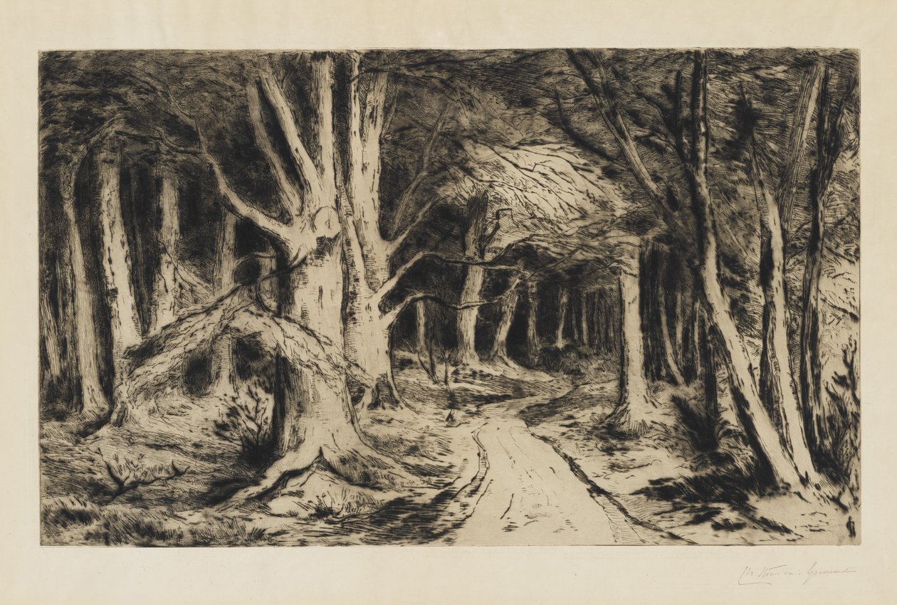 森林小径，约1885年 作者 卡雷尔·尼古拉斯（Carel Nicolaas）Storm van s Gravesande