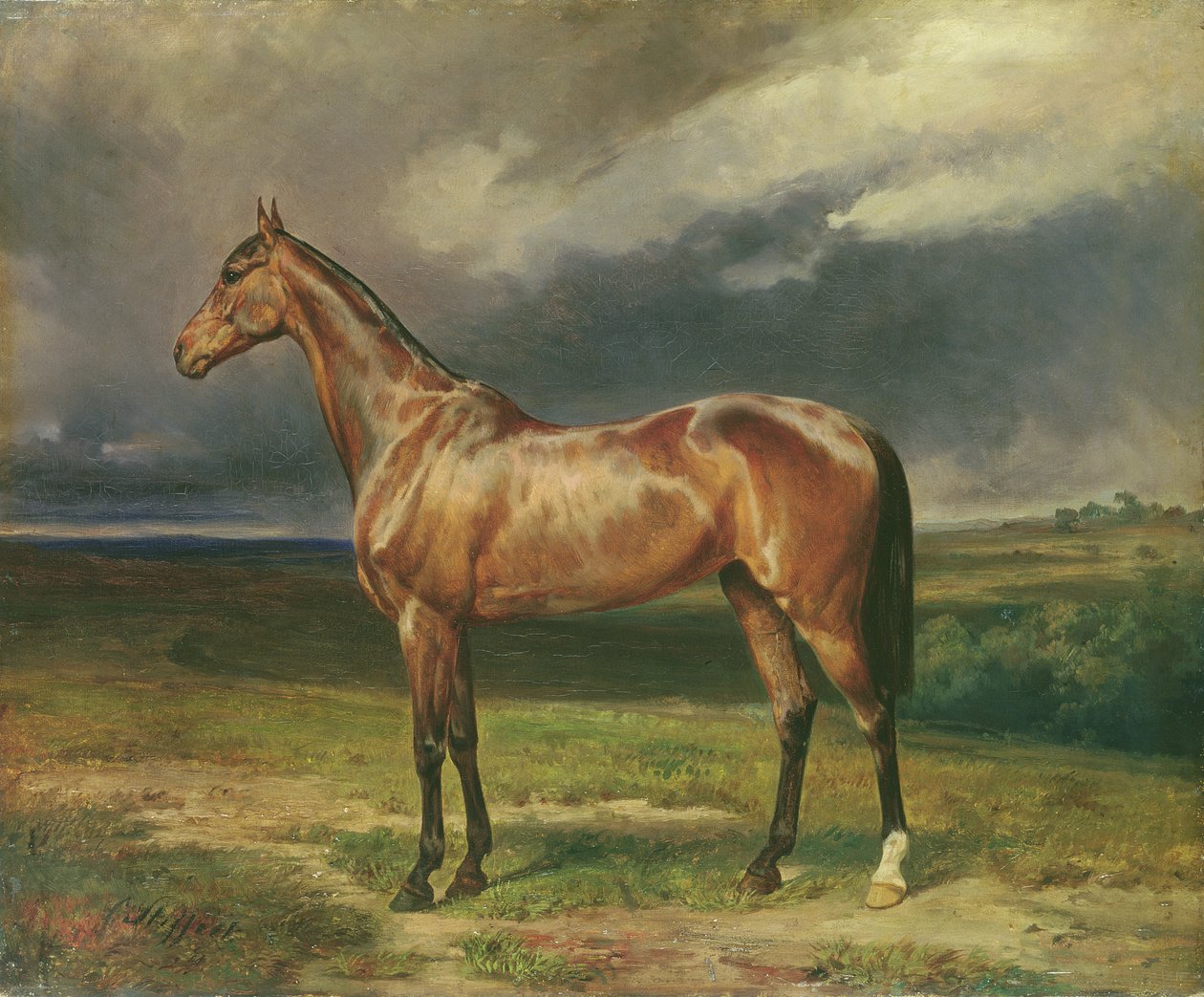 &39;Abdul Medschid&39;是栗子阿拉伯马，1855年 作者 卡尔·康斯坦丁·斯特菲克