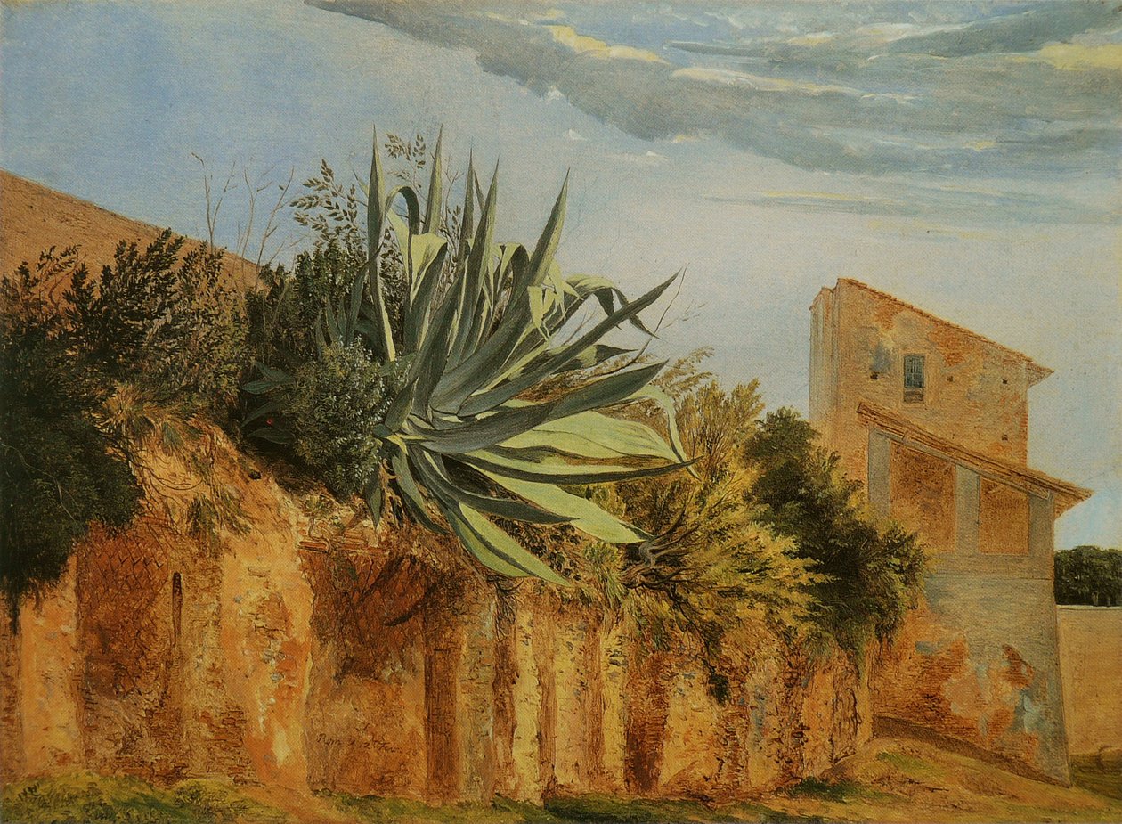 在Romnanci的城墙：Agave sur un mur de Romen 作者 卡尔·瓦格纳