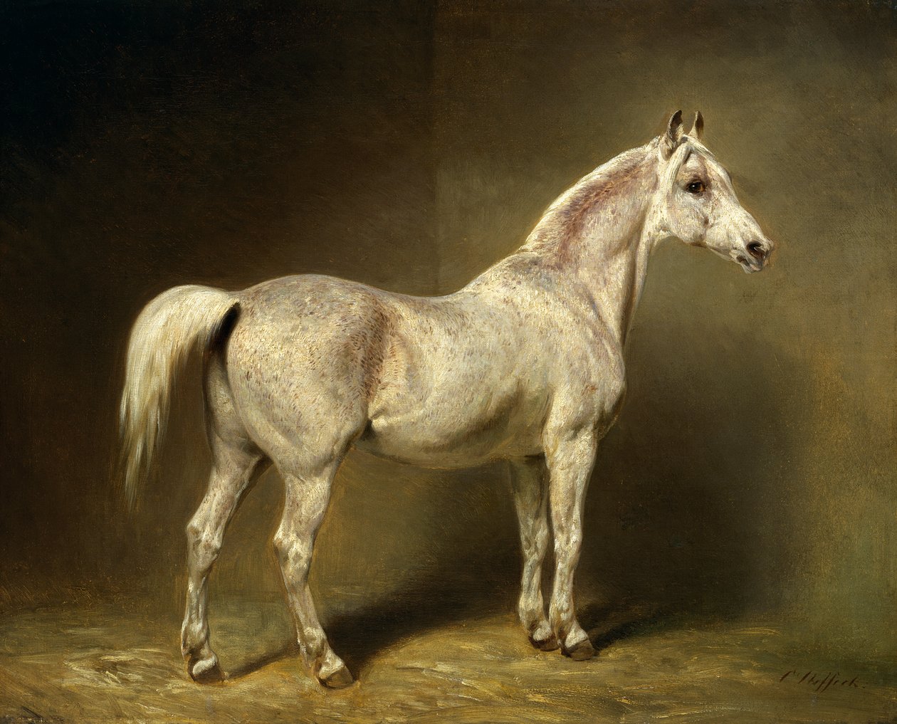&39;Beatrice&39;，1855年Helmuth Count von Moltke的白色阿拉伯马鞍 作者 卡尔·康斯坦丁·斯特菲克