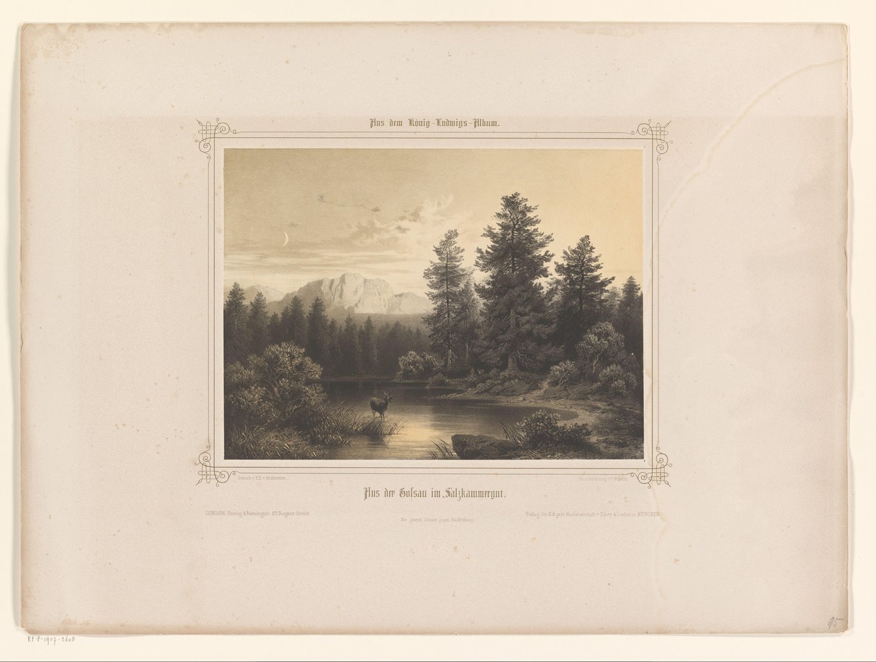 萨尔茨卡默古特的水景
Flus der Gossau im Salzkammergut（作品名称）
赠送给巴伐利亚路易一世的相册（系列名称）
路德维希国王的相册（系列名称） 作者 卡尔·弗里德里希·维尔特