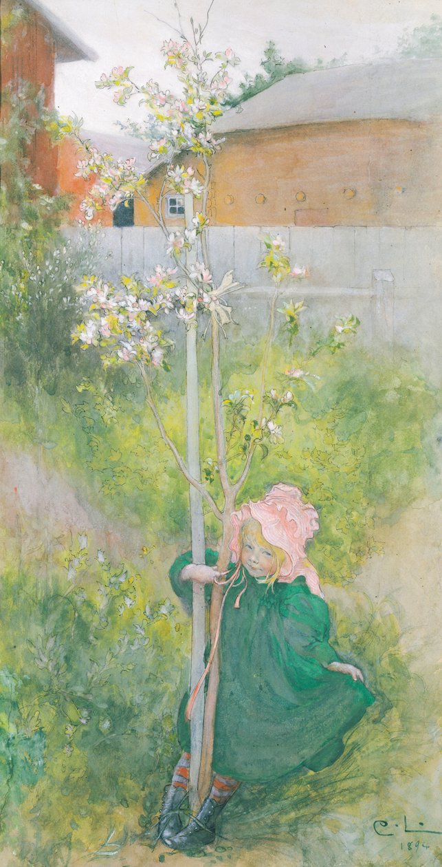 Appleblossom，1894年 作者 卡尔·拉森