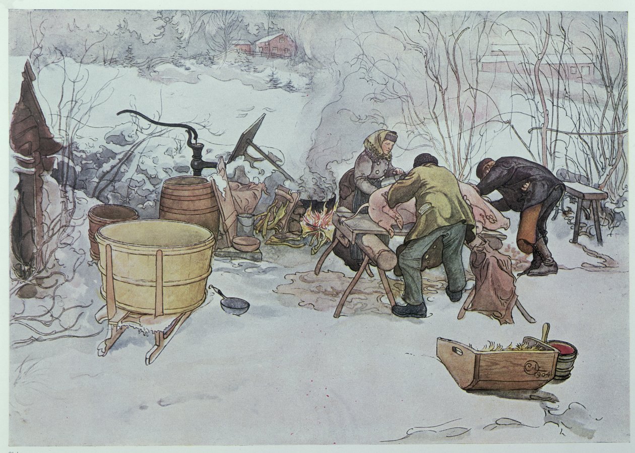 &39;杀猪&39;，&39;我的小农场&39;的插图，于1904年在瑞典出版 作者 卡尔·拉森