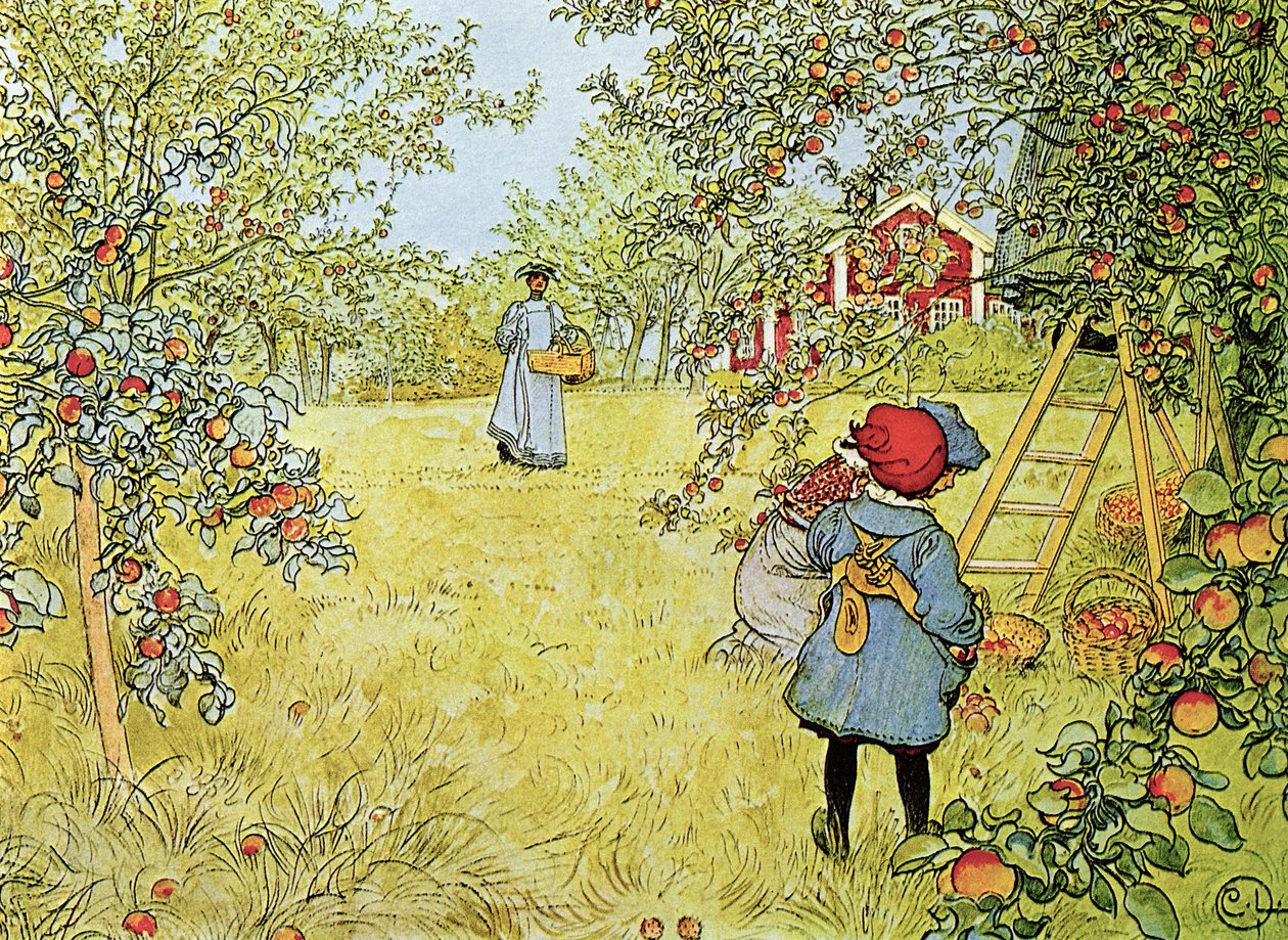 Apple Harvest 作者 卡尔·拉森