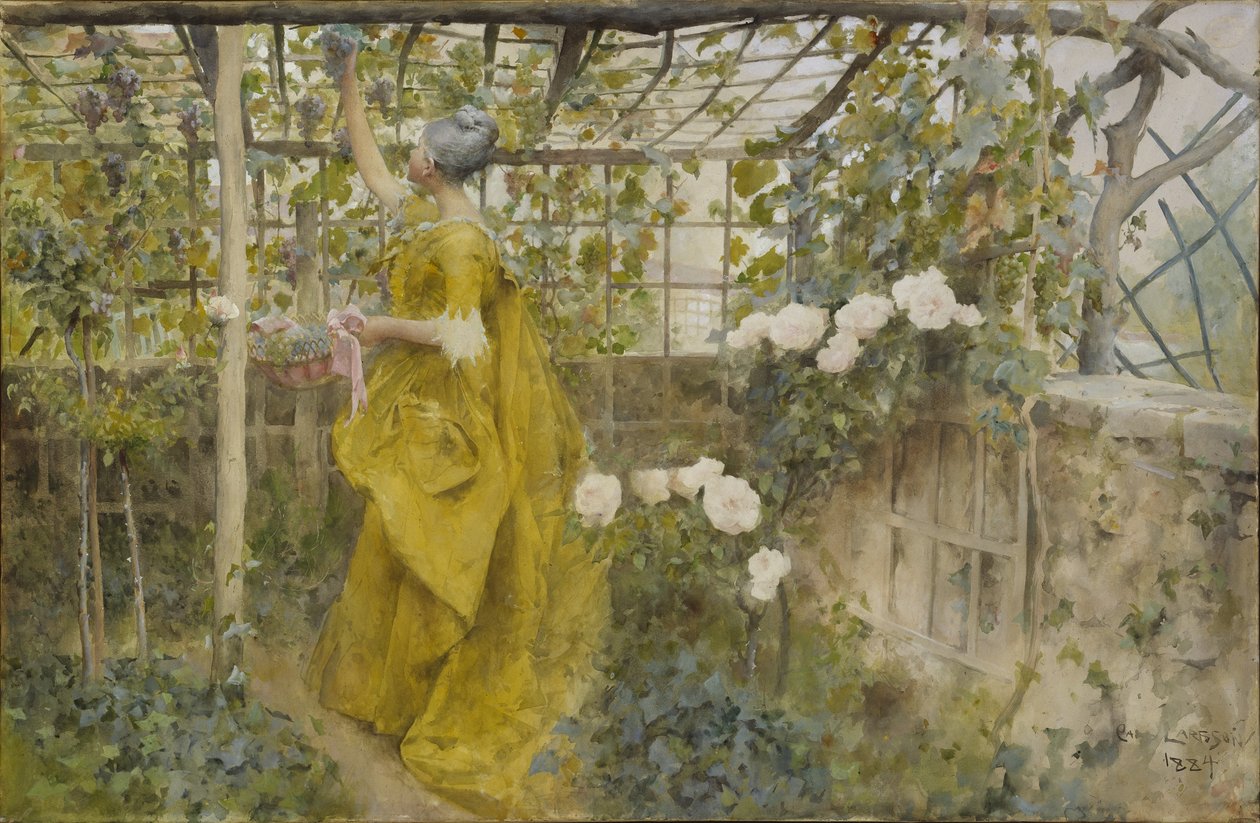 The Vine，1884（纸上写着） 作者 卡尔·拉森