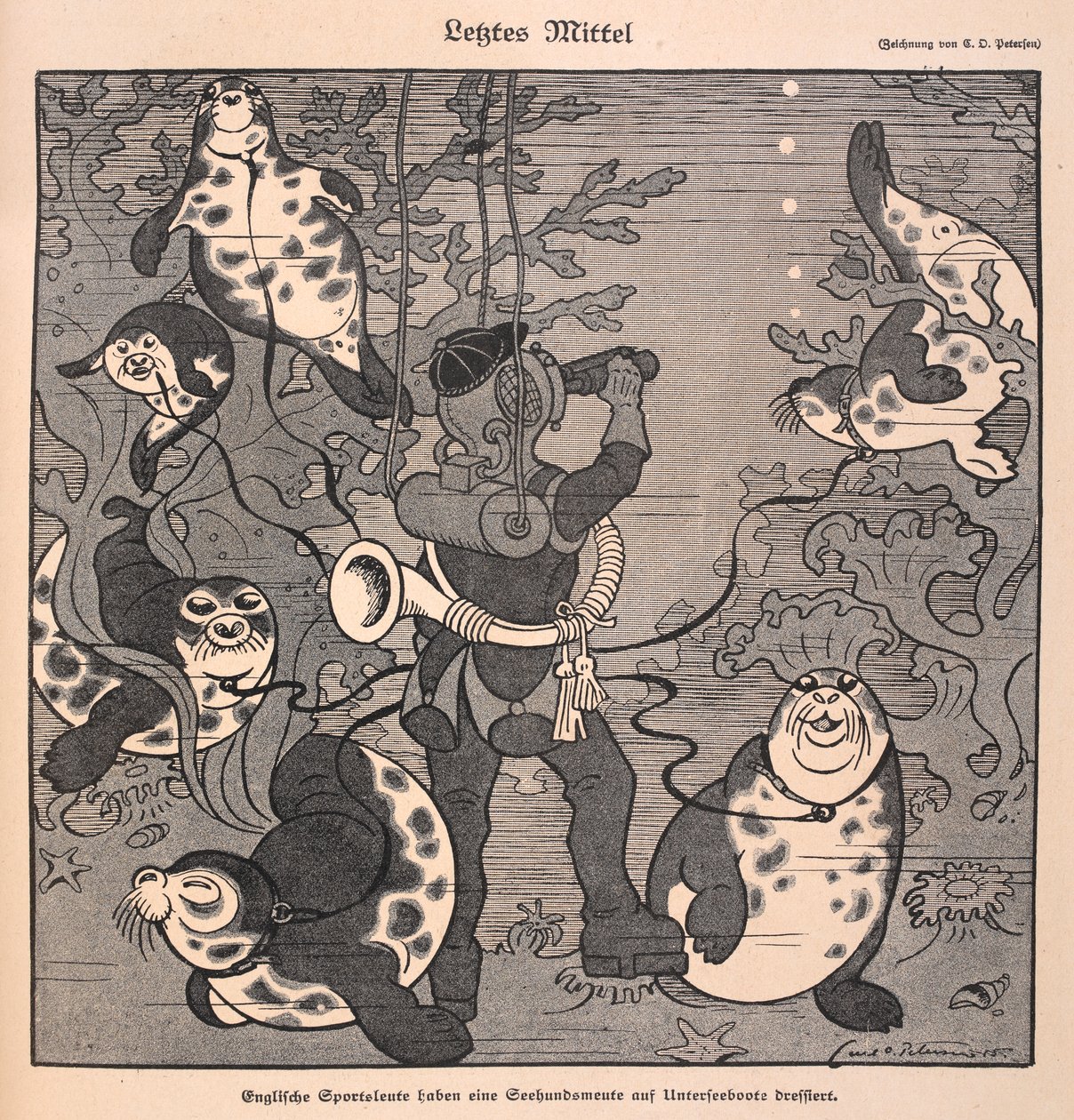 Letztes Mittel：最后一招。潜水员与海豹；水下场景 作者 卡尔·奥洛夫·彼得森