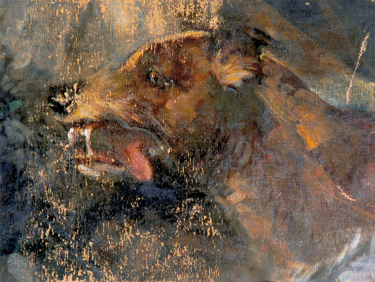 狗头 作者 卡尔·鲁道夫·胡伯