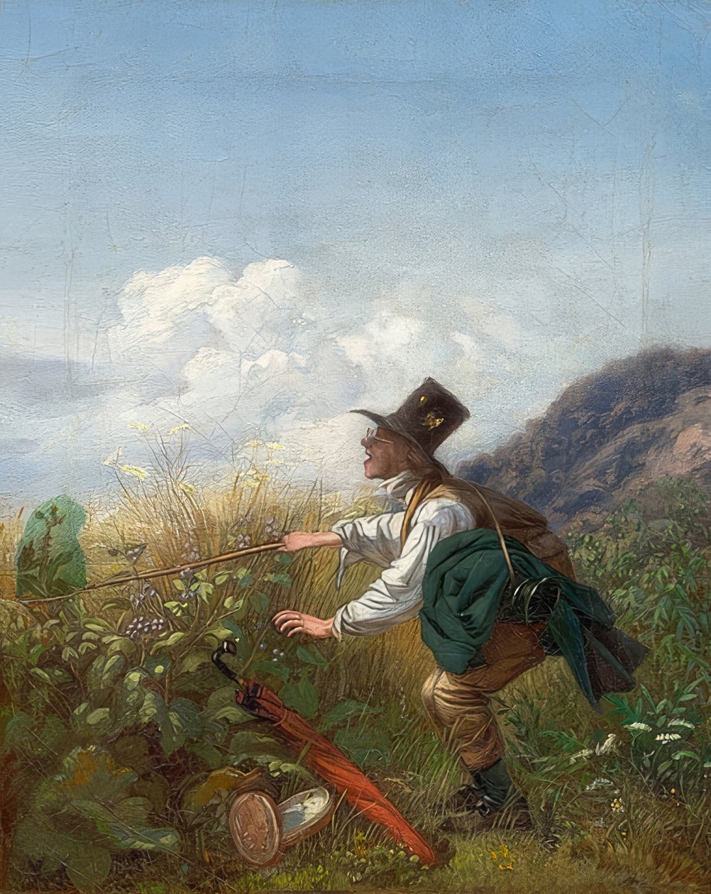 蝴蝶捕手（植物学家）。约于1837年 作者 卡尔·斯皮茨维格
