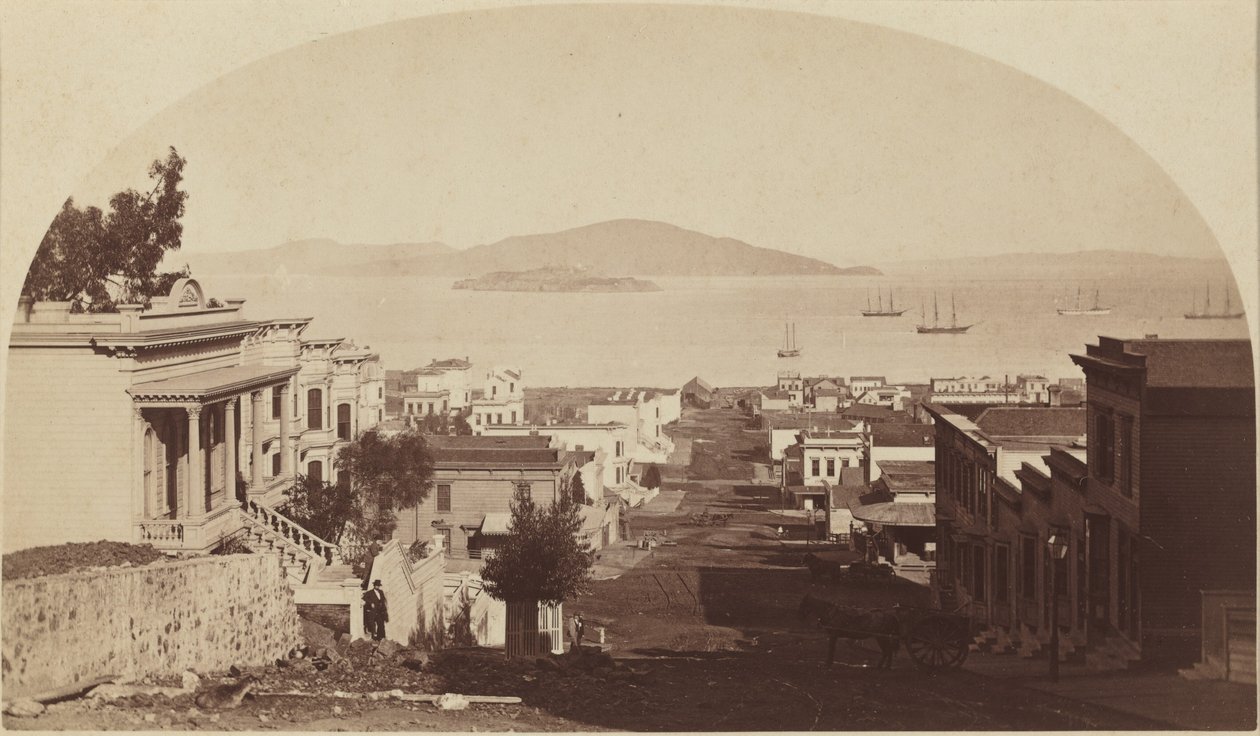 恶魔岛和旧金山湾，向北望去，1880 年代（照片） 作者 卡尔顿·埃蒙斯·沃特金斯