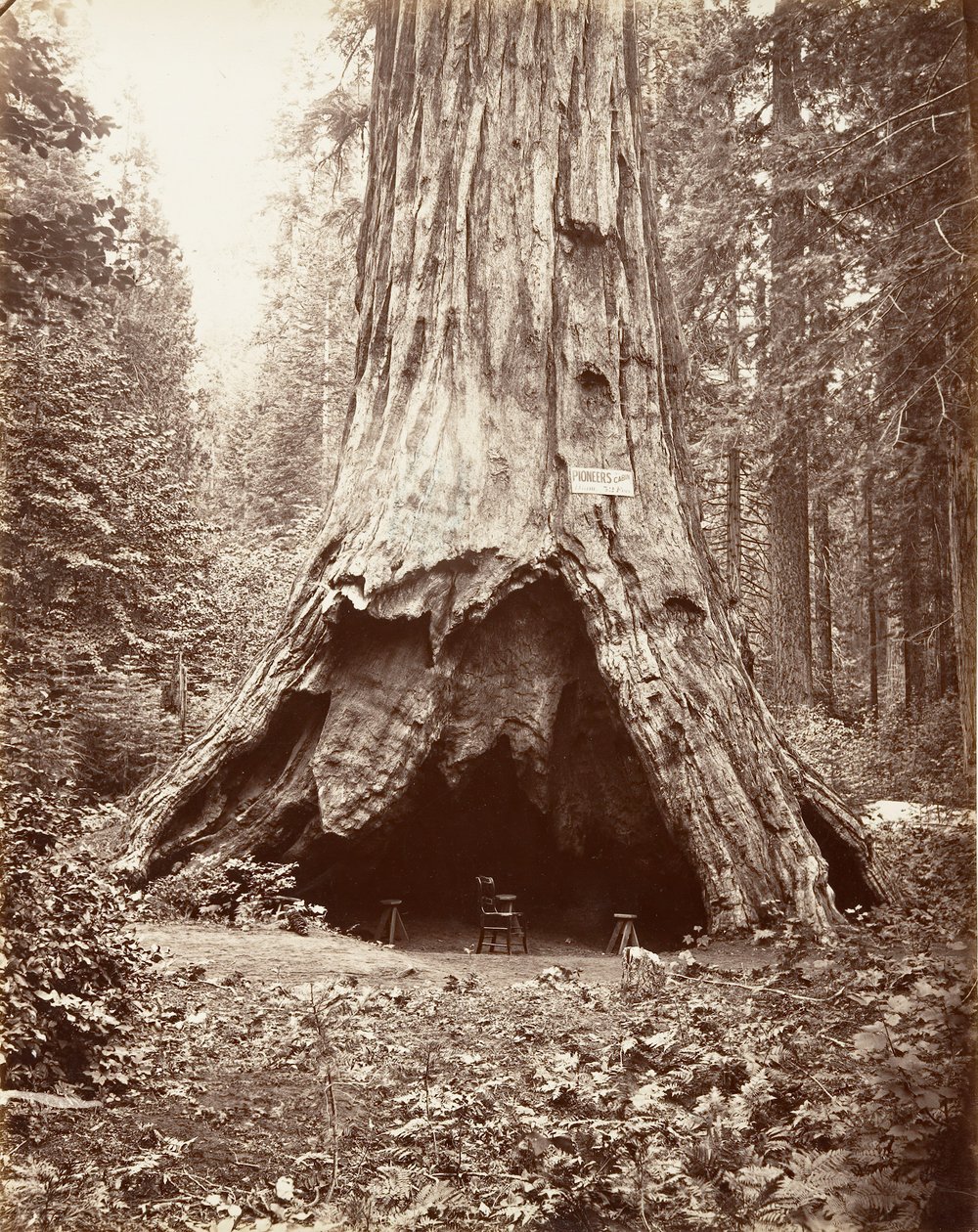 先驱者的小屋，1865-66年，约1876年印刷。 作者 卡尔顿·埃蒙斯·沃特金斯