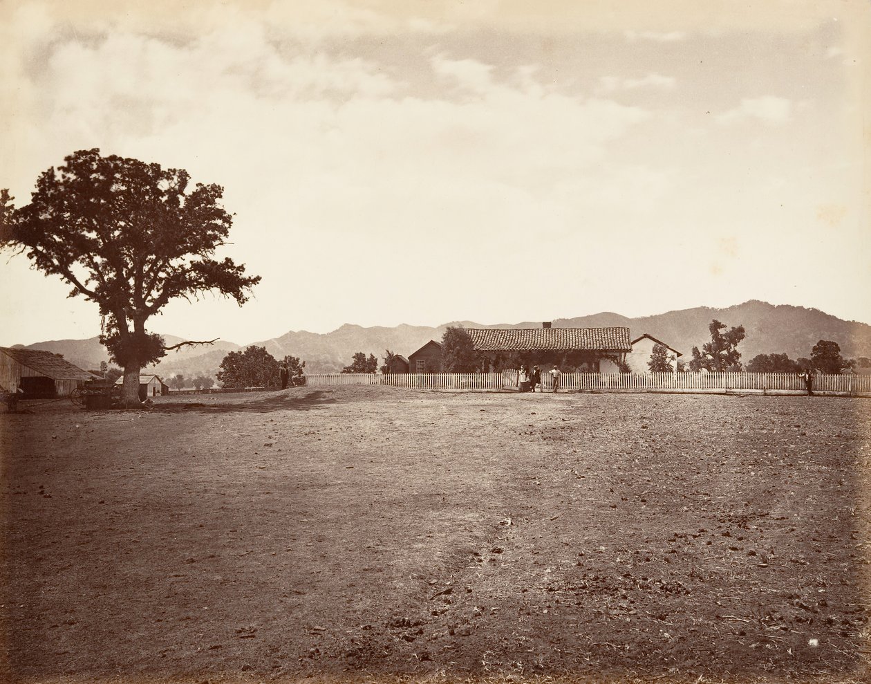 圣玛格丽塔牧场，1876年，约1876年印刷。 作者 卡尔顿·埃蒙斯·沃特金斯