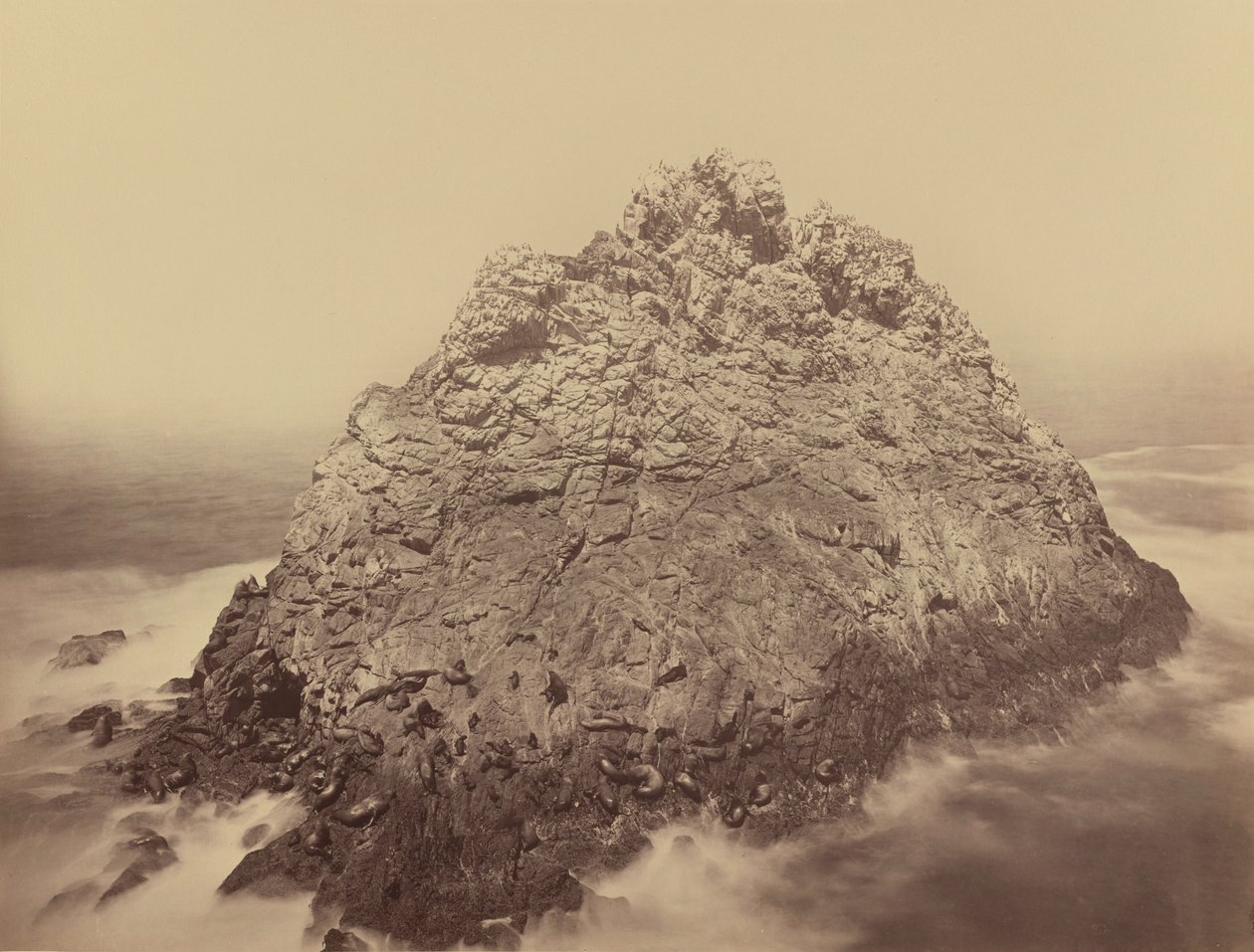 糖块岛，法拉隆群岛，1868/1869（照片） 作者 卡尔顿·埃蒙斯·沃特金斯