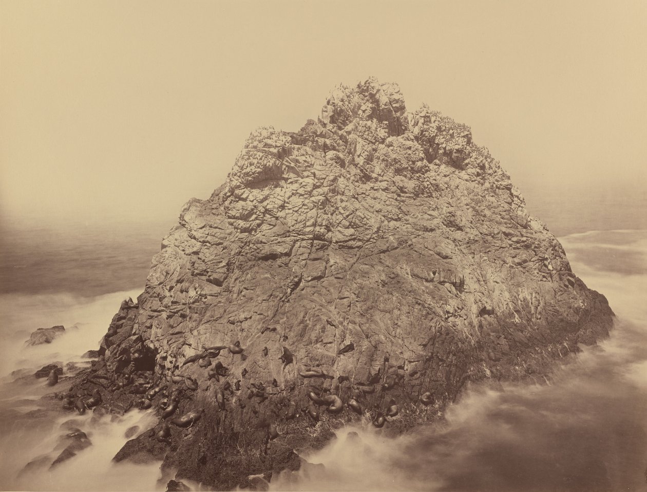 糖块岛，法拉隆群岛，1868-1869。 作者 卡尔顿·埃蒙斯·沃特金斯