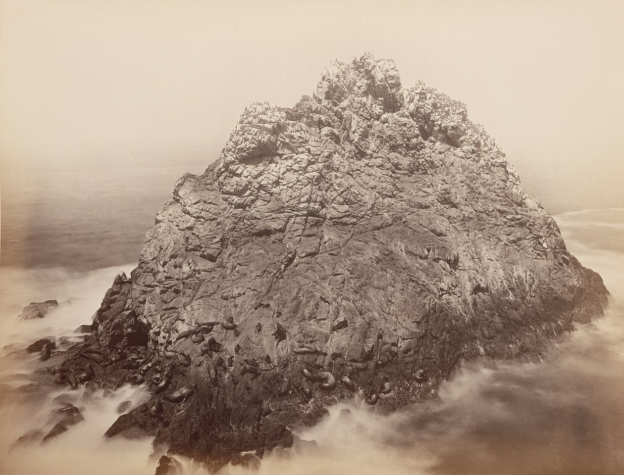 法拉隆群岛的糖块岛，1868-69年。 作者 卡尔顿·埃蒙斯·沃特金斯