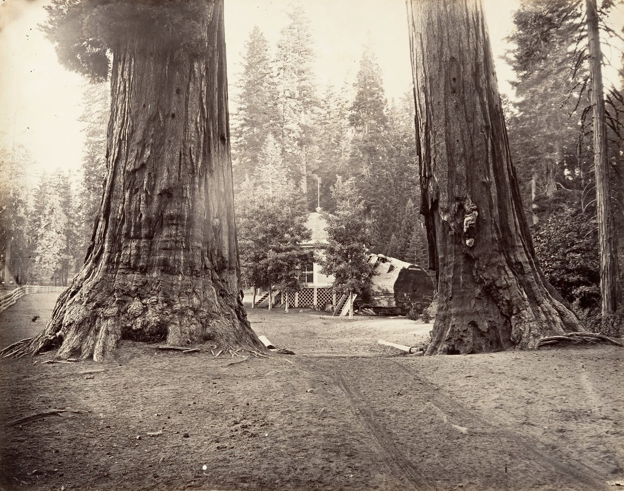 哨兵，315英尺，优胜美地，约1872年，约1876年印刷。 作者 卡尔顿·埃蒙斯·沃特金斯