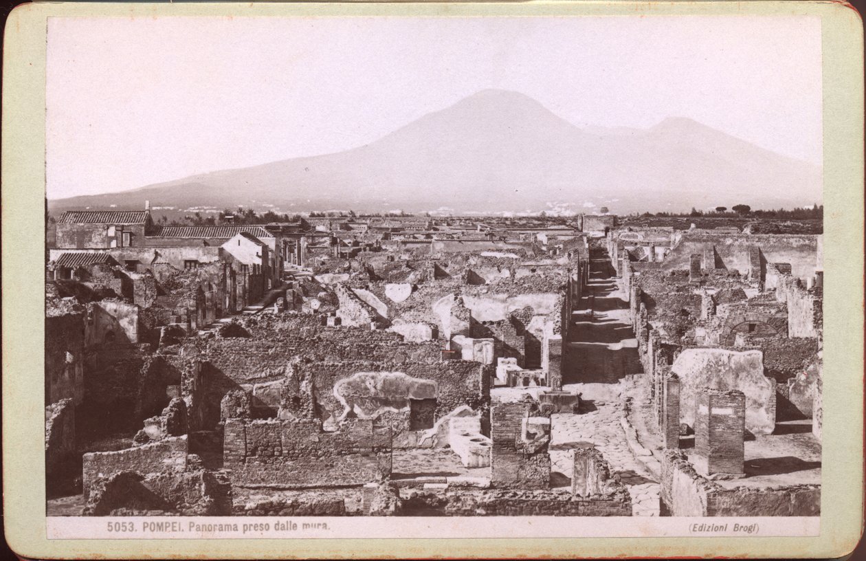 庞贝全景，约 1880 年（照片） 作者 卡洛·布罗吉（Carlo Brogi）