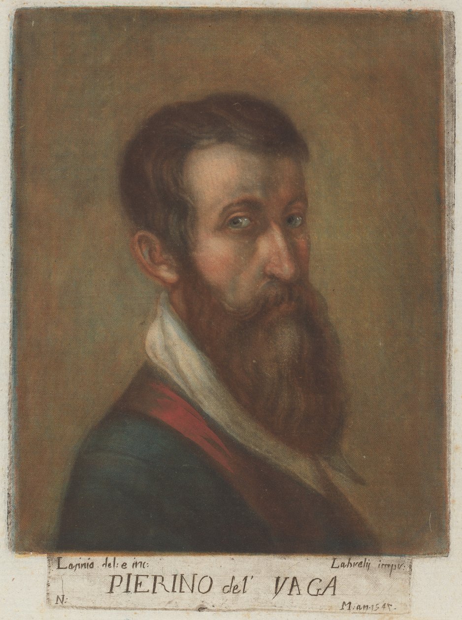 Pierino del Vaga 作者 Carlo Lasinio，在 Perino del Vaga 之后