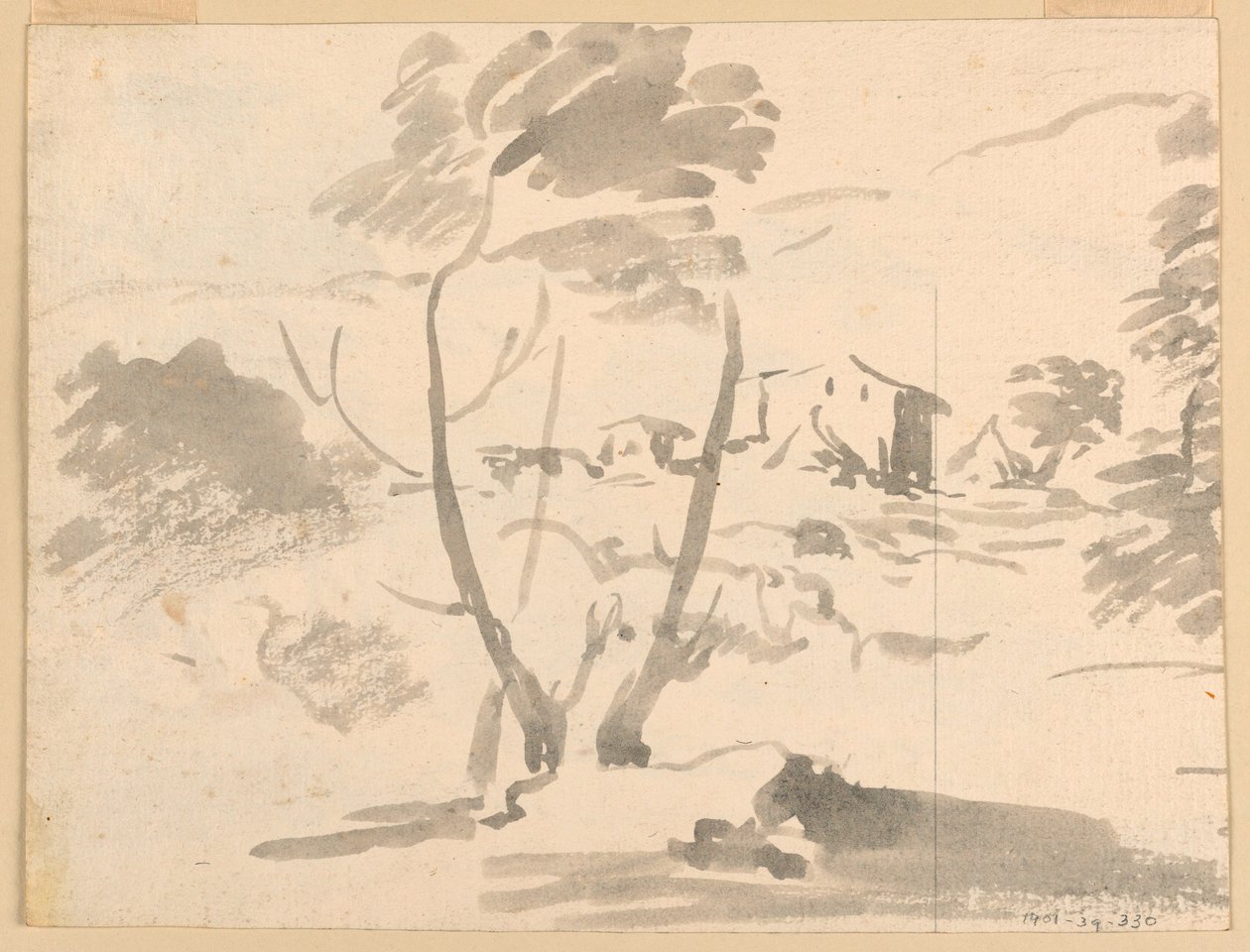 素描，风景中的树木素描，1760-1780 年 作者 卡洛·马尔基奥尼