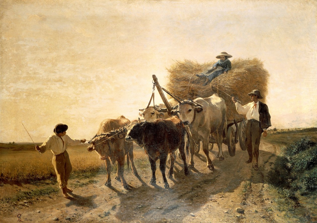 收获》，卡洛-皮塔拉（1836-1890 年） 作者 卡洛·皮塔拉（Carlo Pittara）