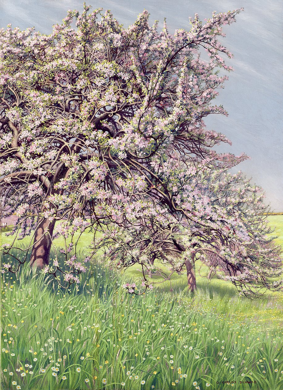 开花的苹果树，1912年 作者 卡洛斯施瓦贝