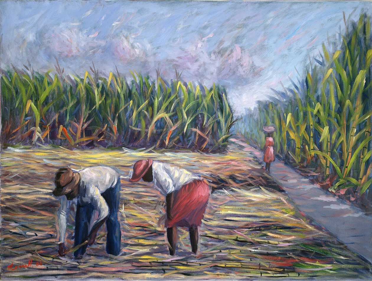Sugarcane Harvest，1986 作者 卡尔顿·穆雷尔