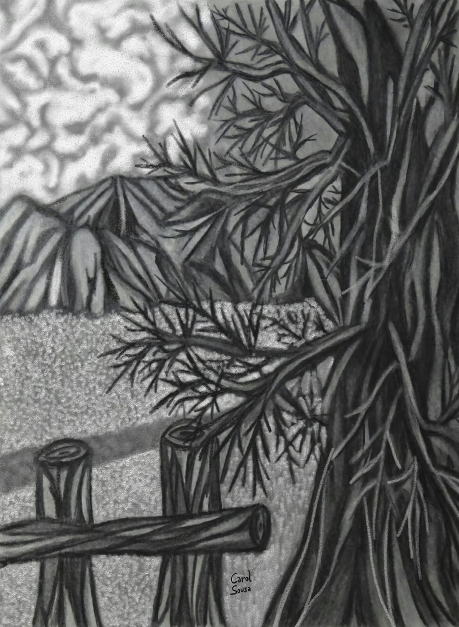 数码炭笔画-2 作者 卡罗尔·苏萨·奎略